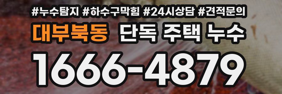 대부북동 단독 주택 누수