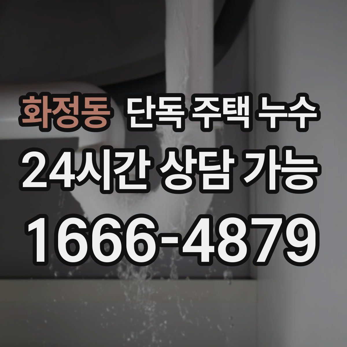 화정동 단독 주택 누수