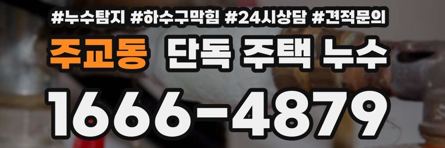 주교동 단독 주택 누수