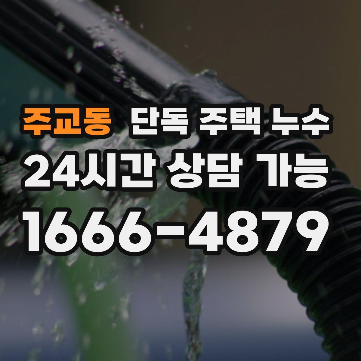 주교동 단독 주택 누수