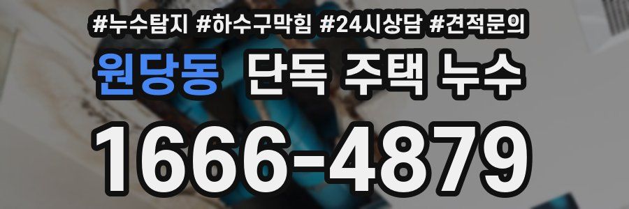 원당동 단독 주택 누수