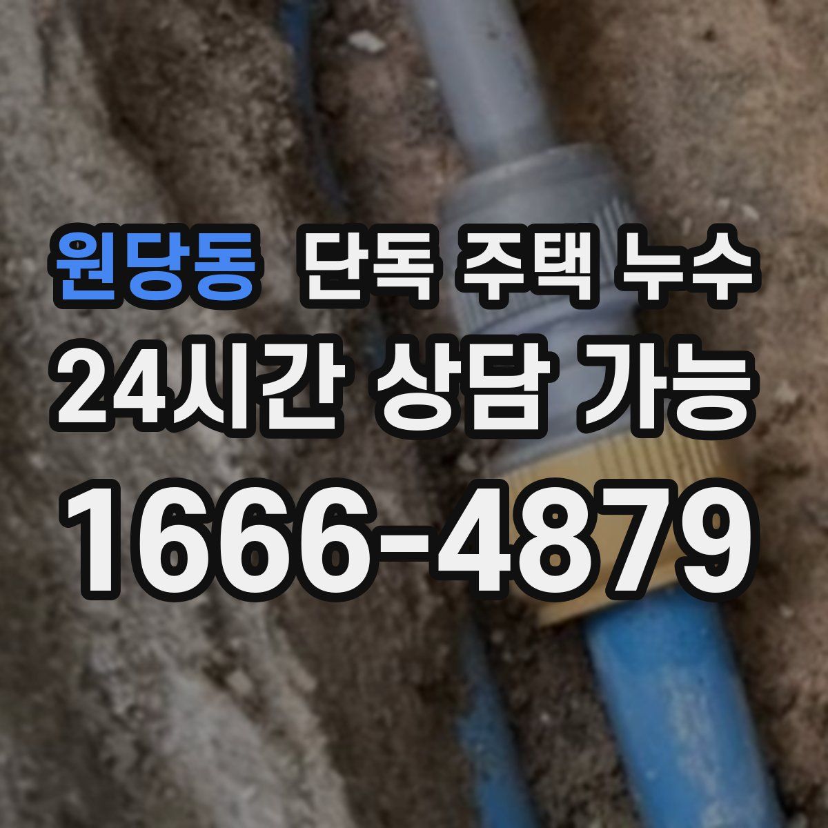 원당동 단독 주택 누수