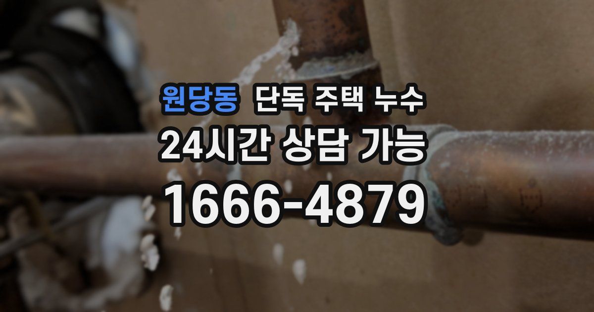 원당동 단독 주택 누수