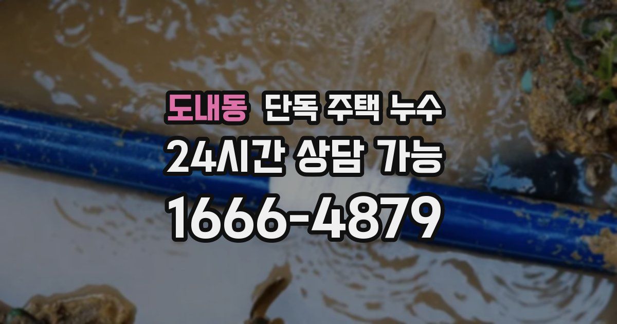 도내동 단독 주택 누수