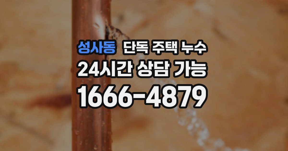 성사동 단독 주택 누수