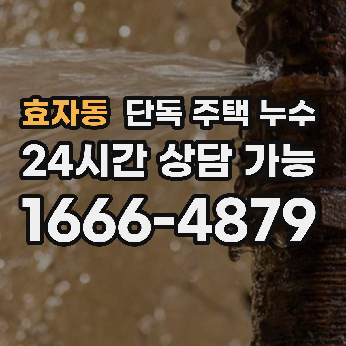 효자동 단독 주택 누수