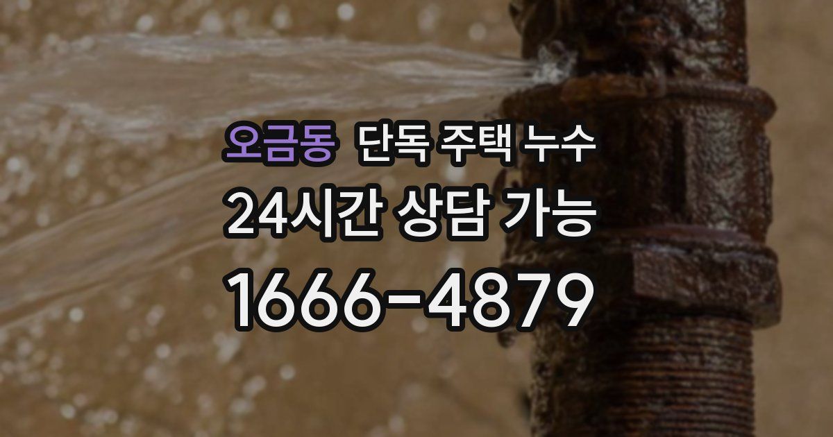 오금동 단독 주택 누수