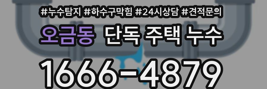 오금동 단독 주택 누수