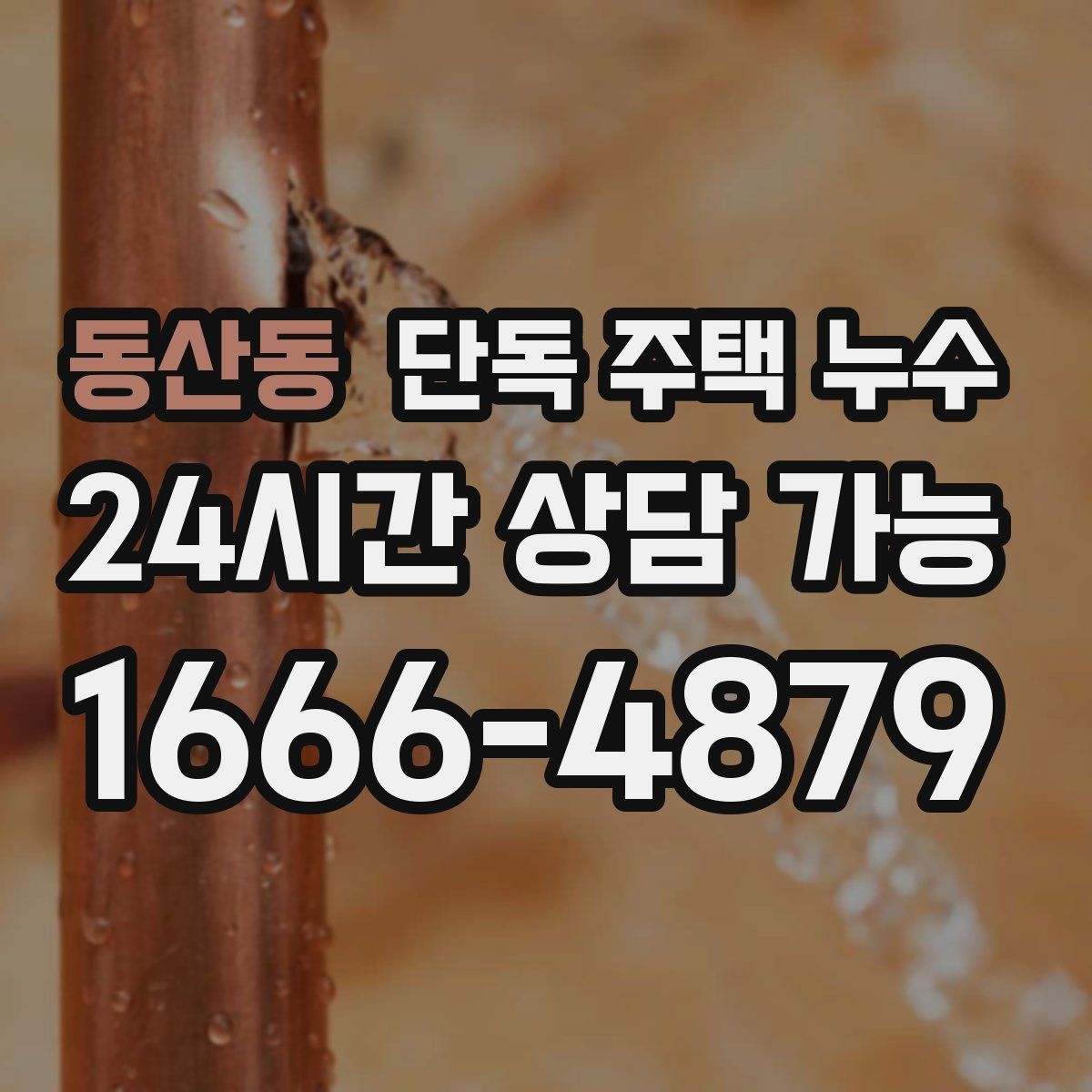 동산동 단독 주택 누수