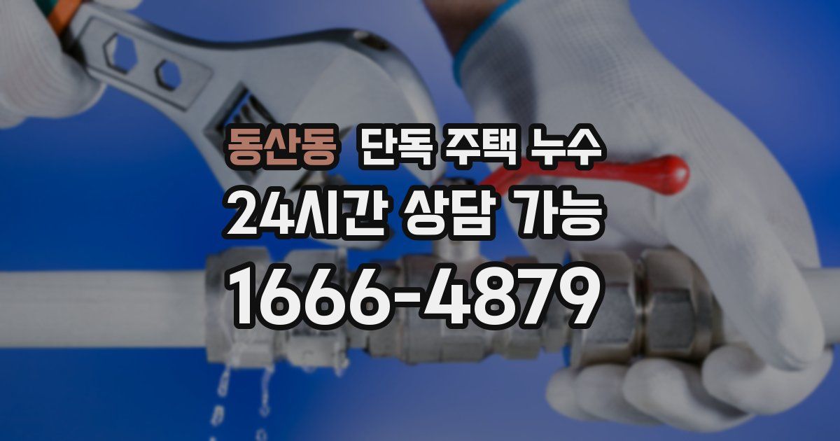 동산동 단독 주택 누수