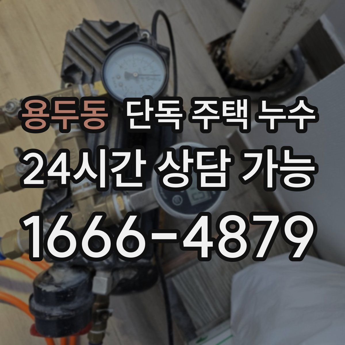 용두동 단독 주택 누수