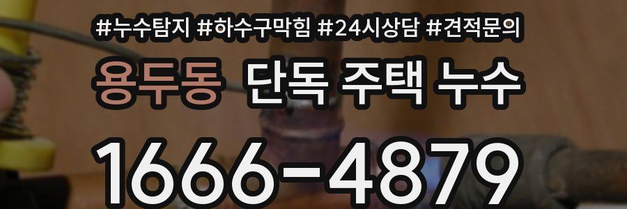 용두동 단독 주택 누수