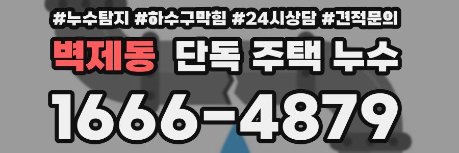 벽제동 단독 주택 누수