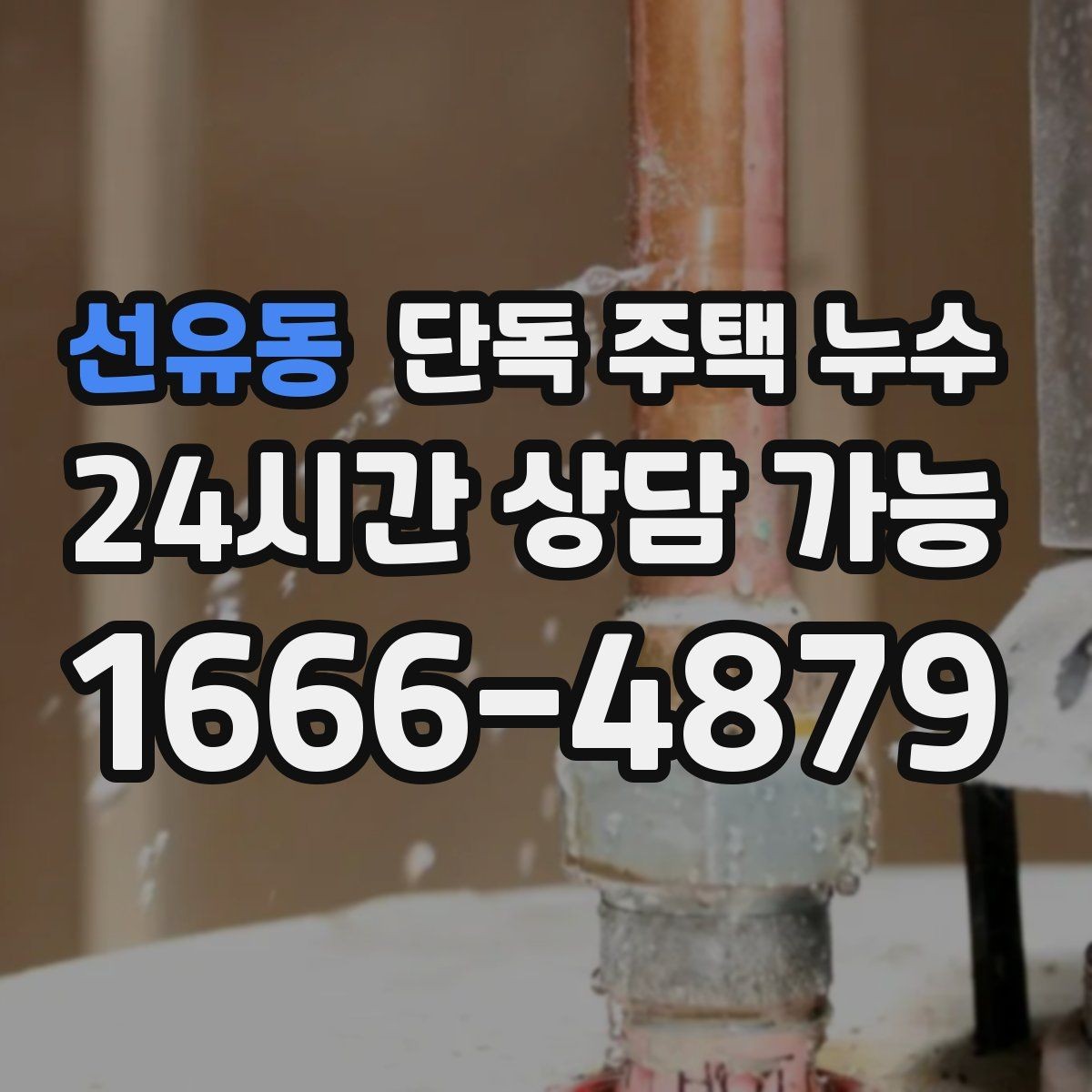 선유동 단독 주택 누수 베란다 없는 집도 창호 틈새를 의심해야 하는 이유