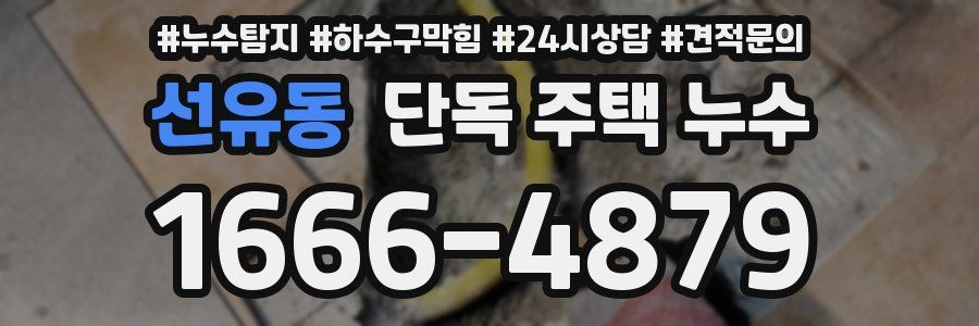 선유동 단독 주택 누수
