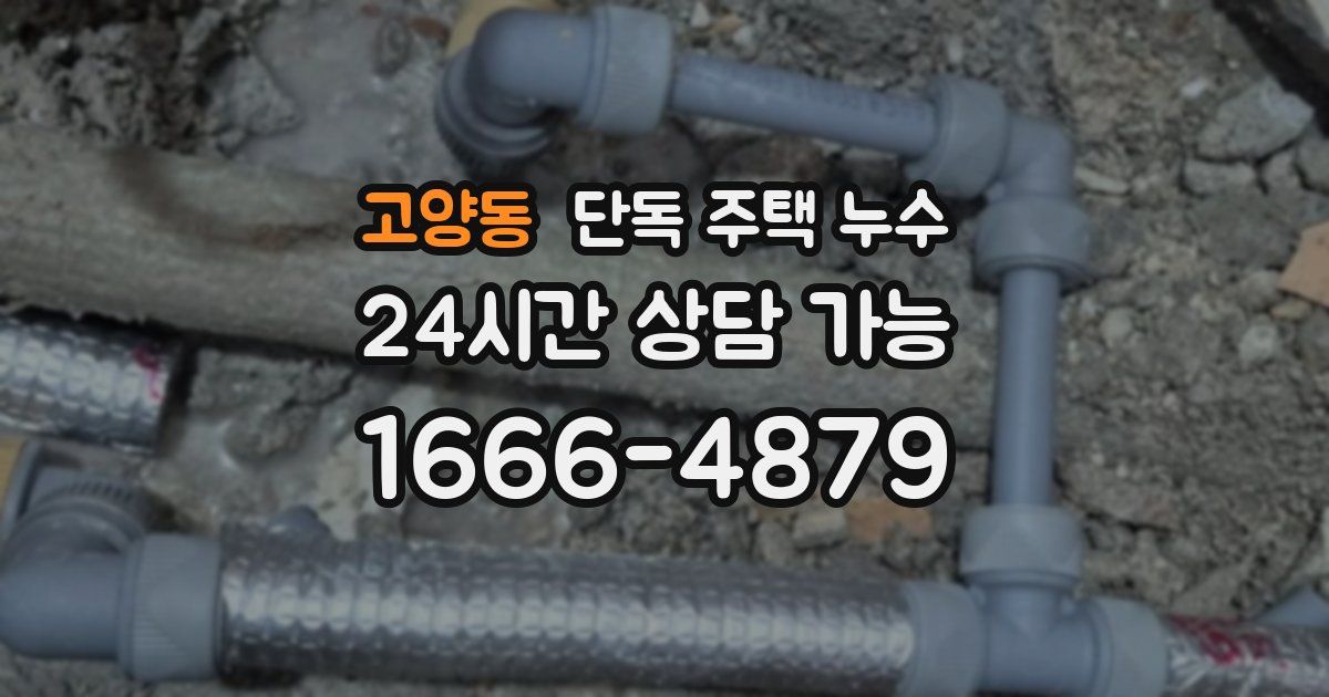 고양동 단독 주택 누수