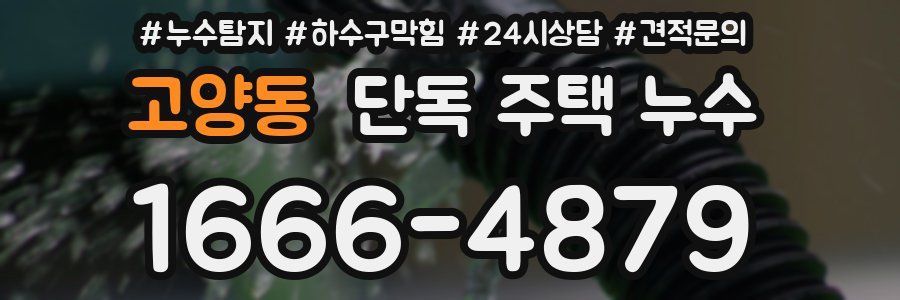 고양동 단독 주택 누수