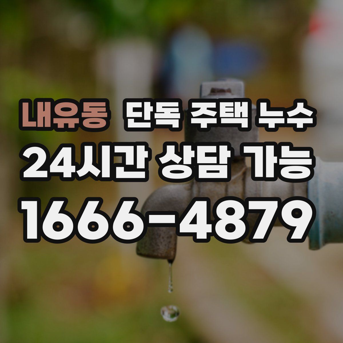 내유동 단독 주택 누수