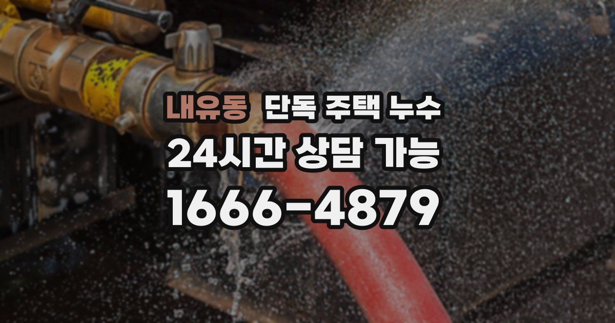 내유동 단독 주택 누수