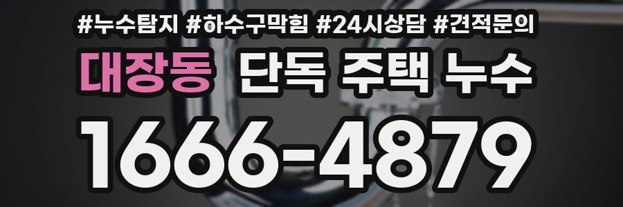 대장동 단독 주택 누수