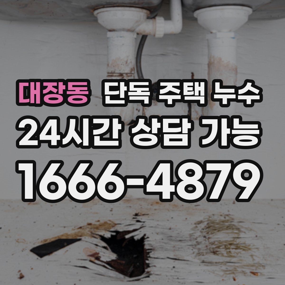 대장동 단독 주택 누수