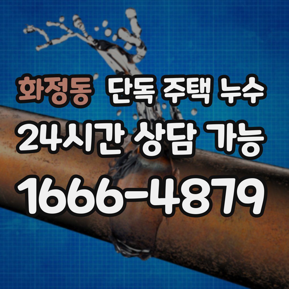 화정동 단독 주택 누수