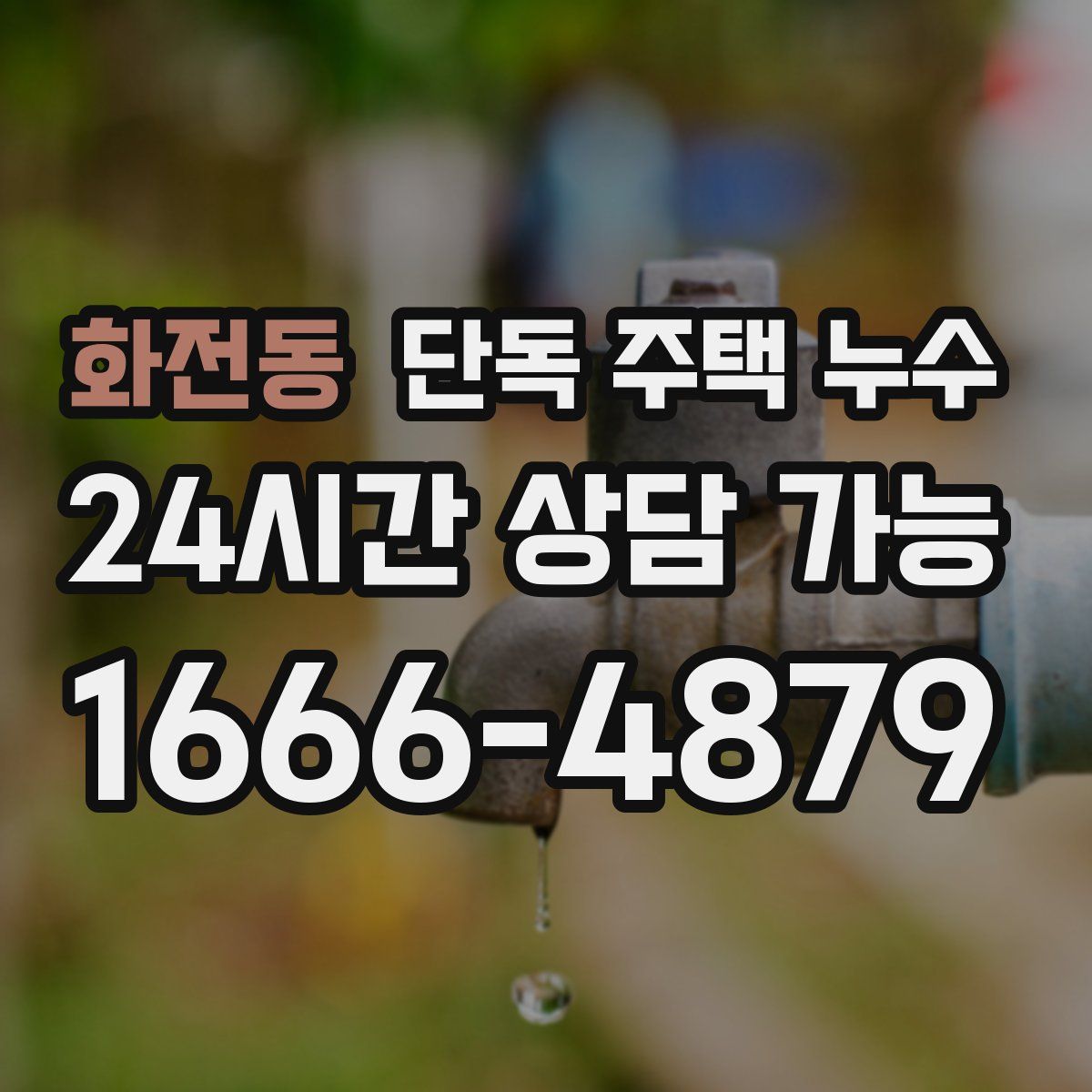 화전동 단독 주택 누수