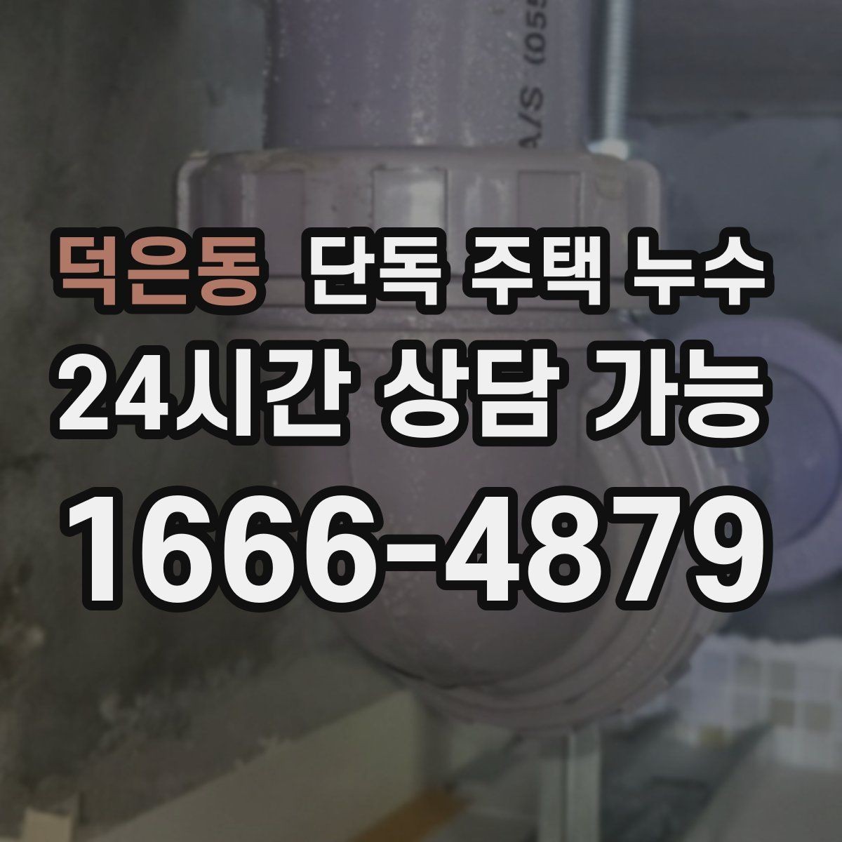 덕은동 단독 주택 누수 현관 근처만 젖는다면 배수 문제 의심