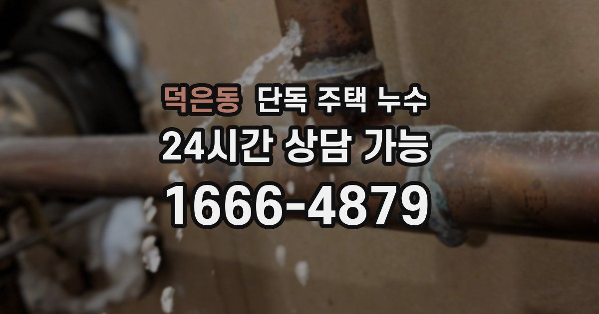 덕은동 단독 주택 누수