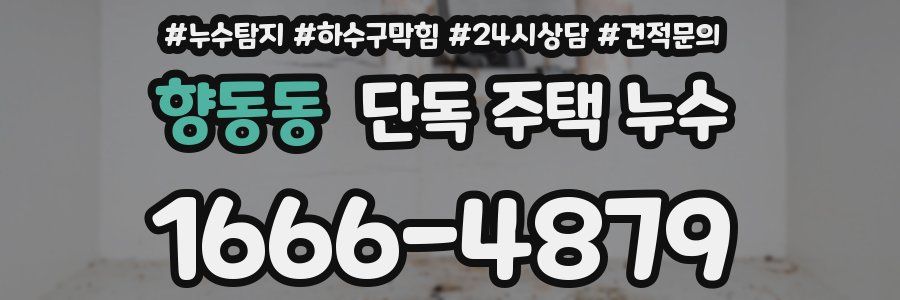 향동동 단독 주택 누수