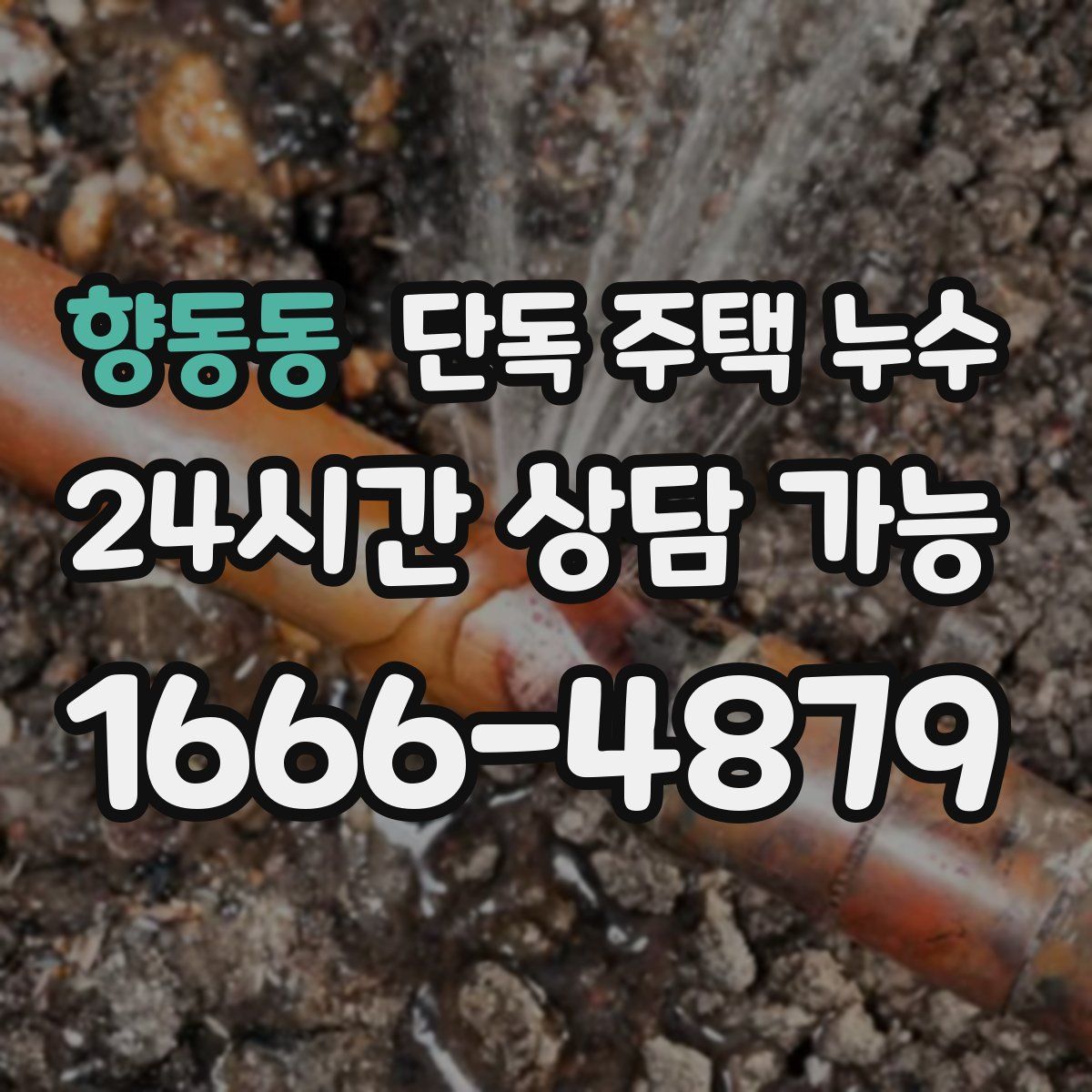 향동동 단독 주택 누수