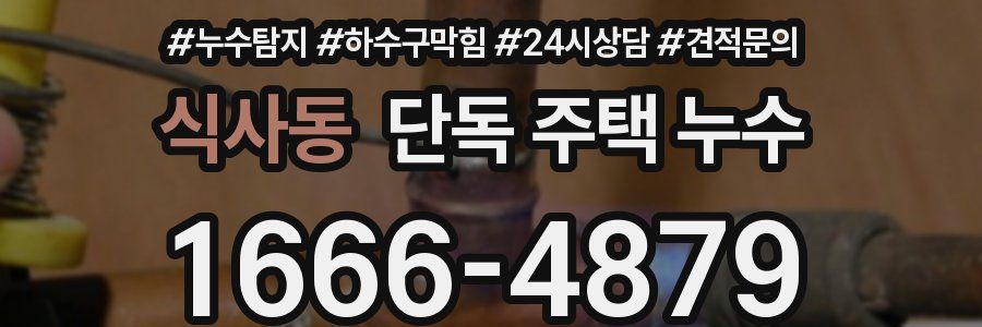 식사동 단독 주택 누수