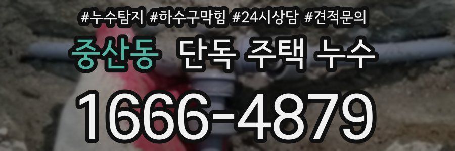 중산동 단독 주택 누수