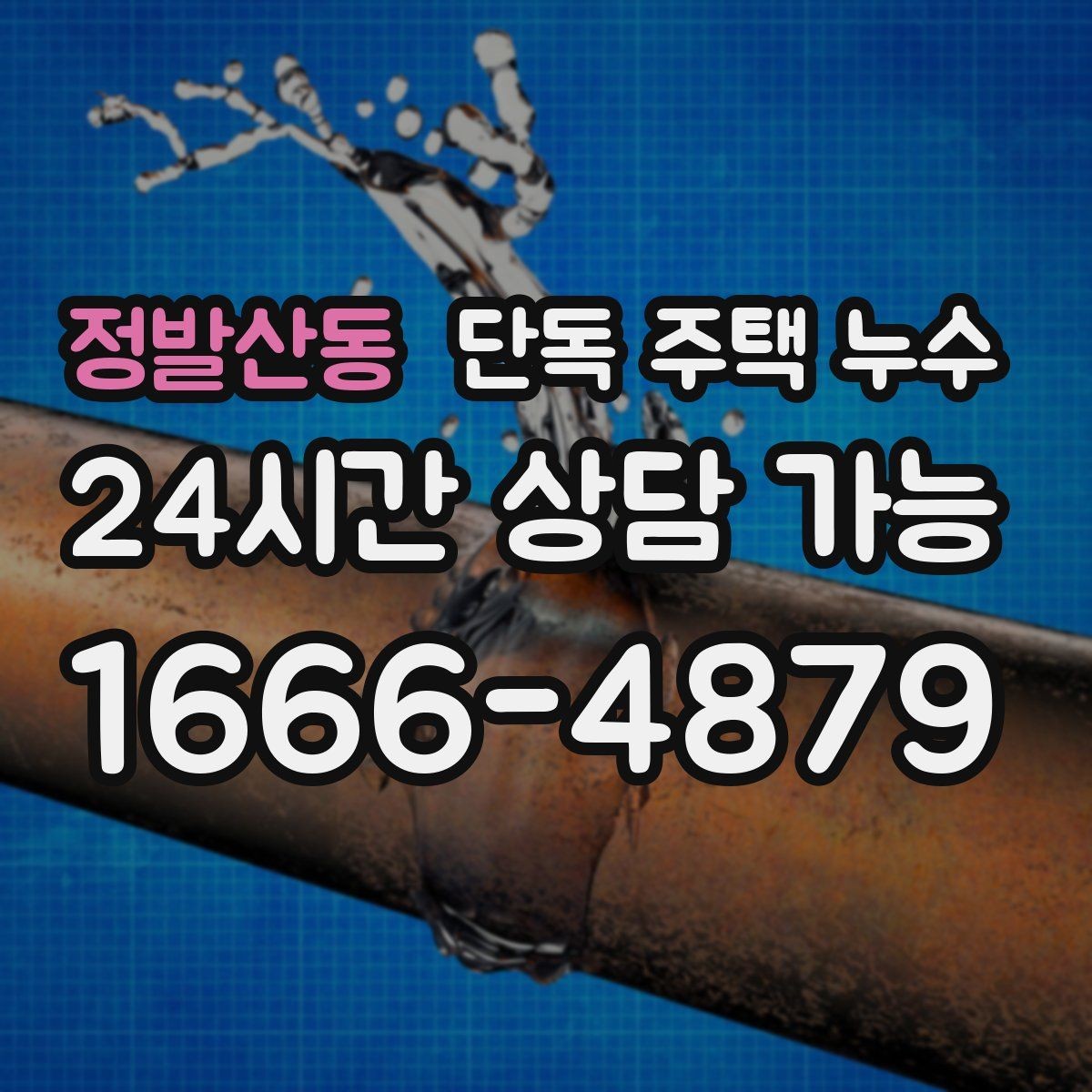 정발산동 단독 주택 누수 옥상 없는 집의 방수 포인트 정리
