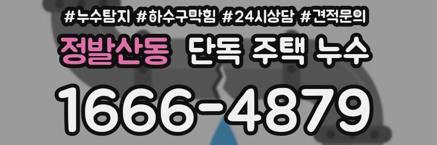 정발산동 단독 주택 누수