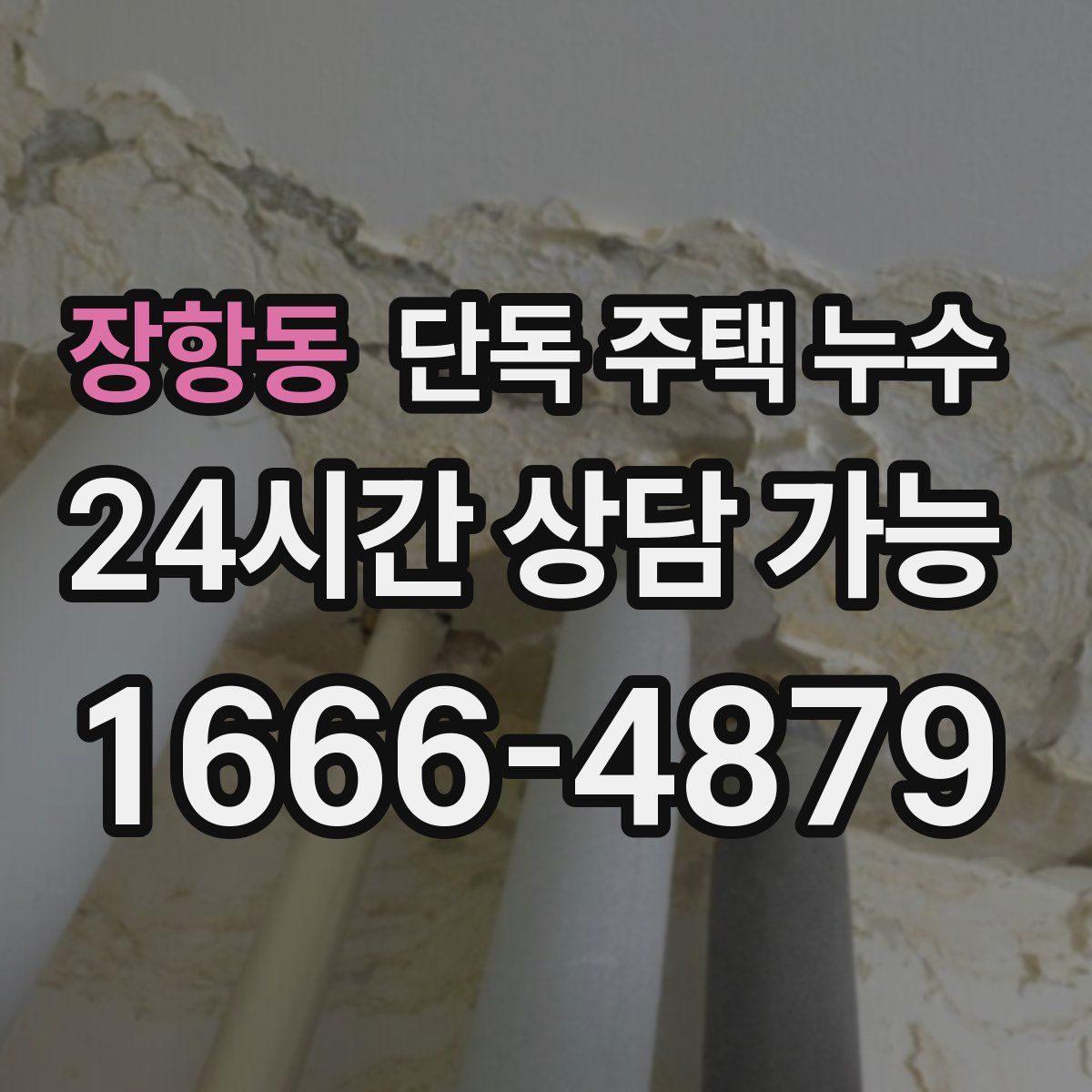 장항동 단독 주택 누수