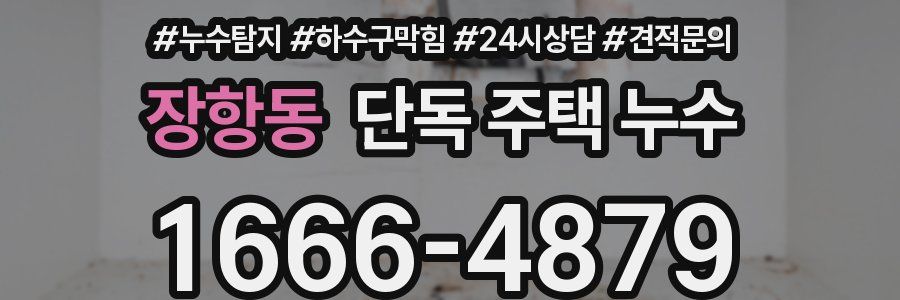 장항동 단독 주택 누수