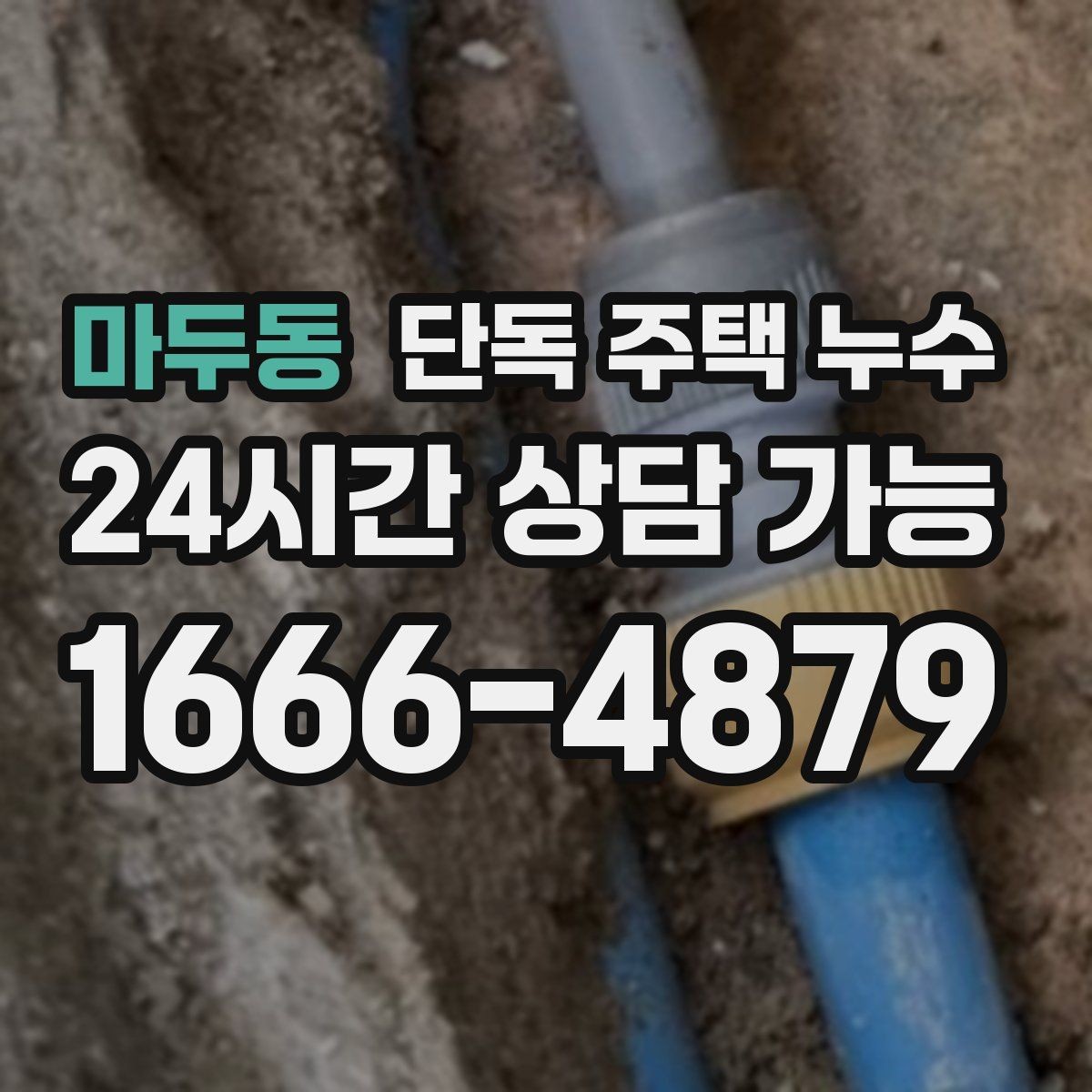 마두동 단독 주택 누수 욕실 배수구 주변이 계속 젖을 때