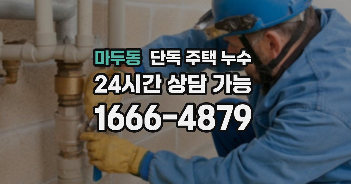 마두동 단독 주택 누수