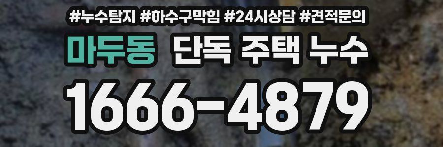 마두동 단독 주택 누수