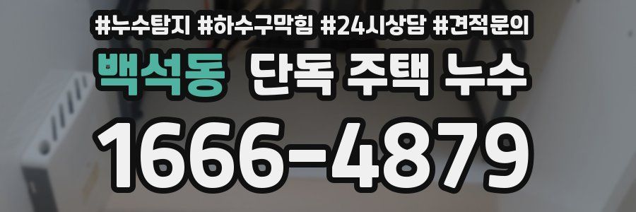 백석동 단독 주택 누수