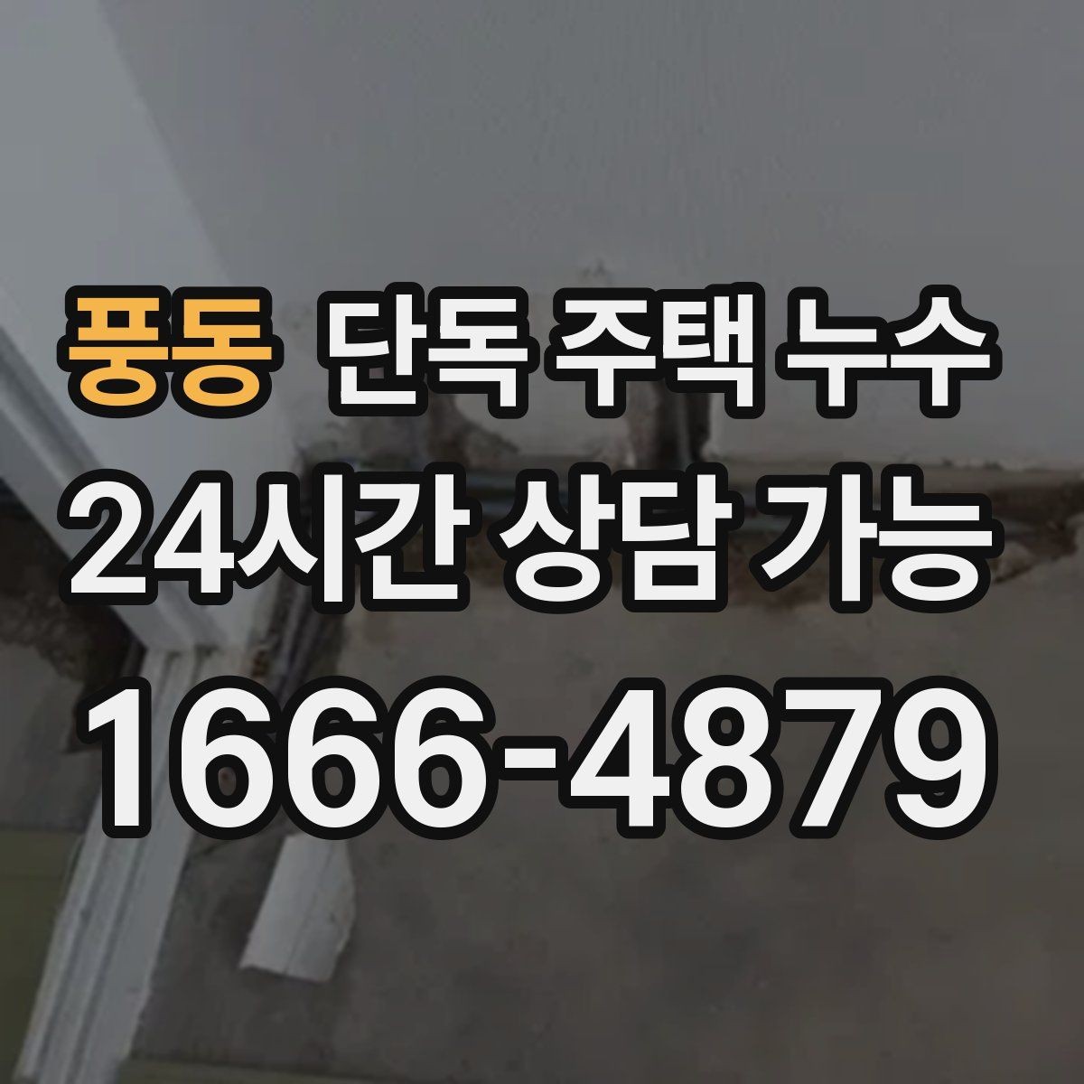 풍동 단독 주택 누수 욕실 주변만 젖는다면 방수부터 점검
