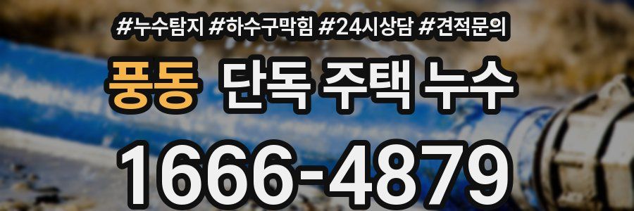풍동 단독 주택 누수