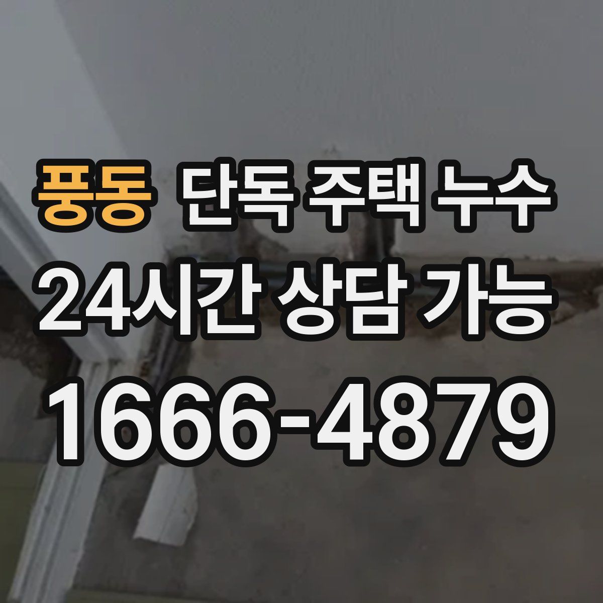 풍동 단독 주택 누수