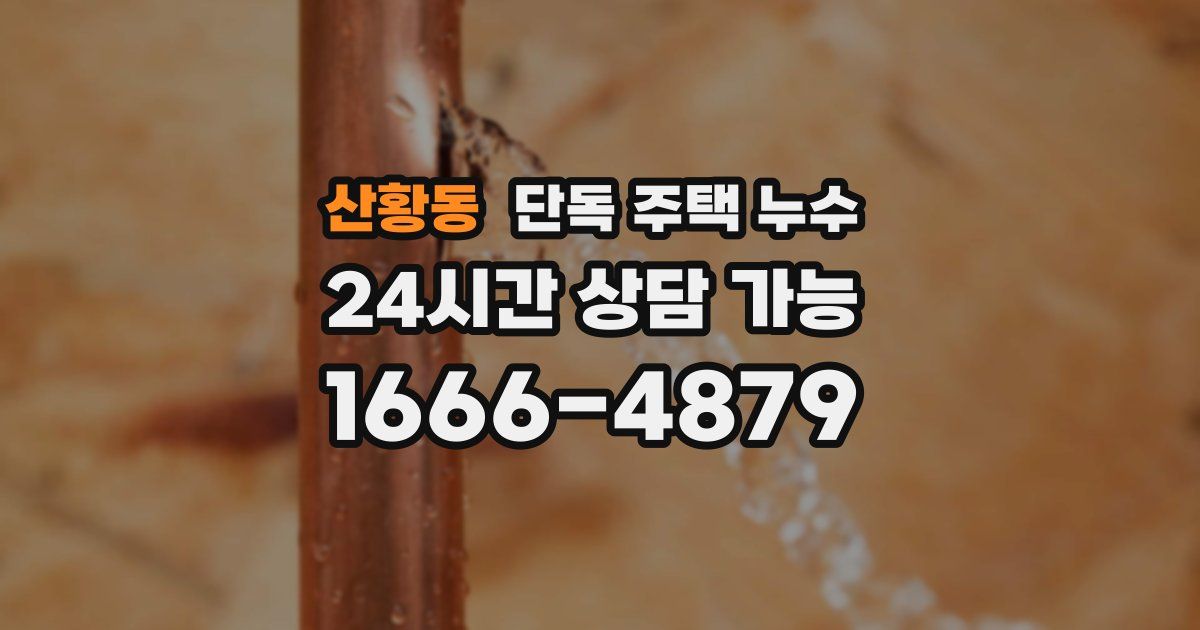 산황동 단독 주택 누수