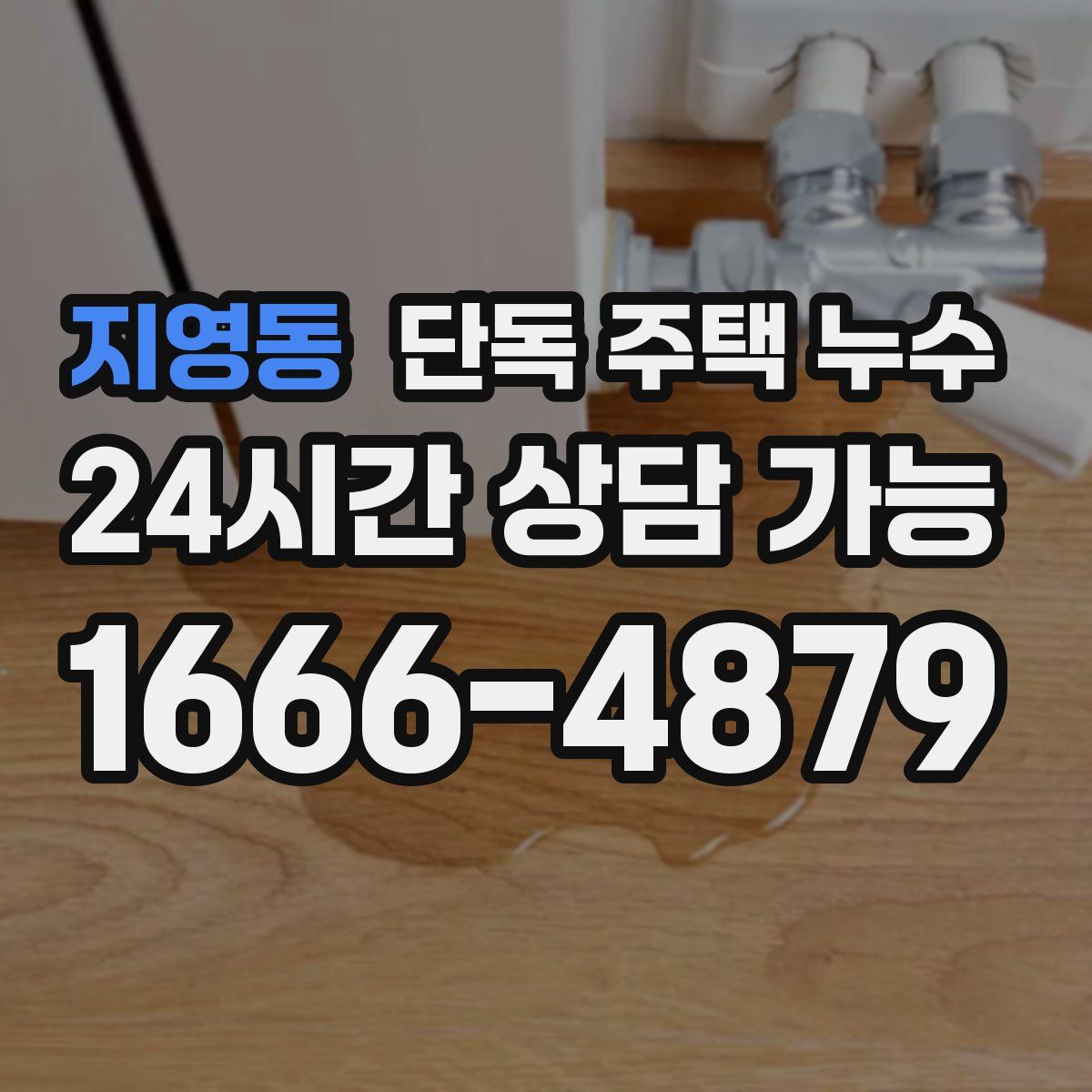 지영동 단독 주택 누수