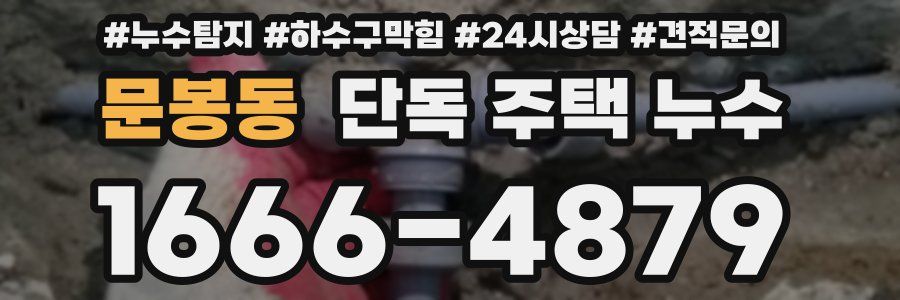 문봉동 단독 주택 누수