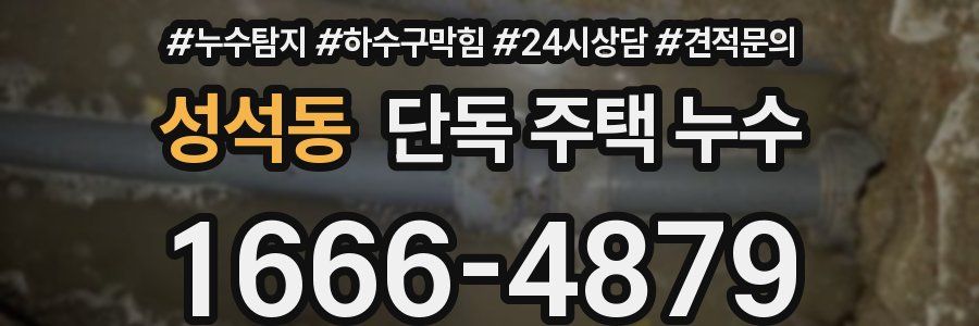 성석동 단독 주택 누수