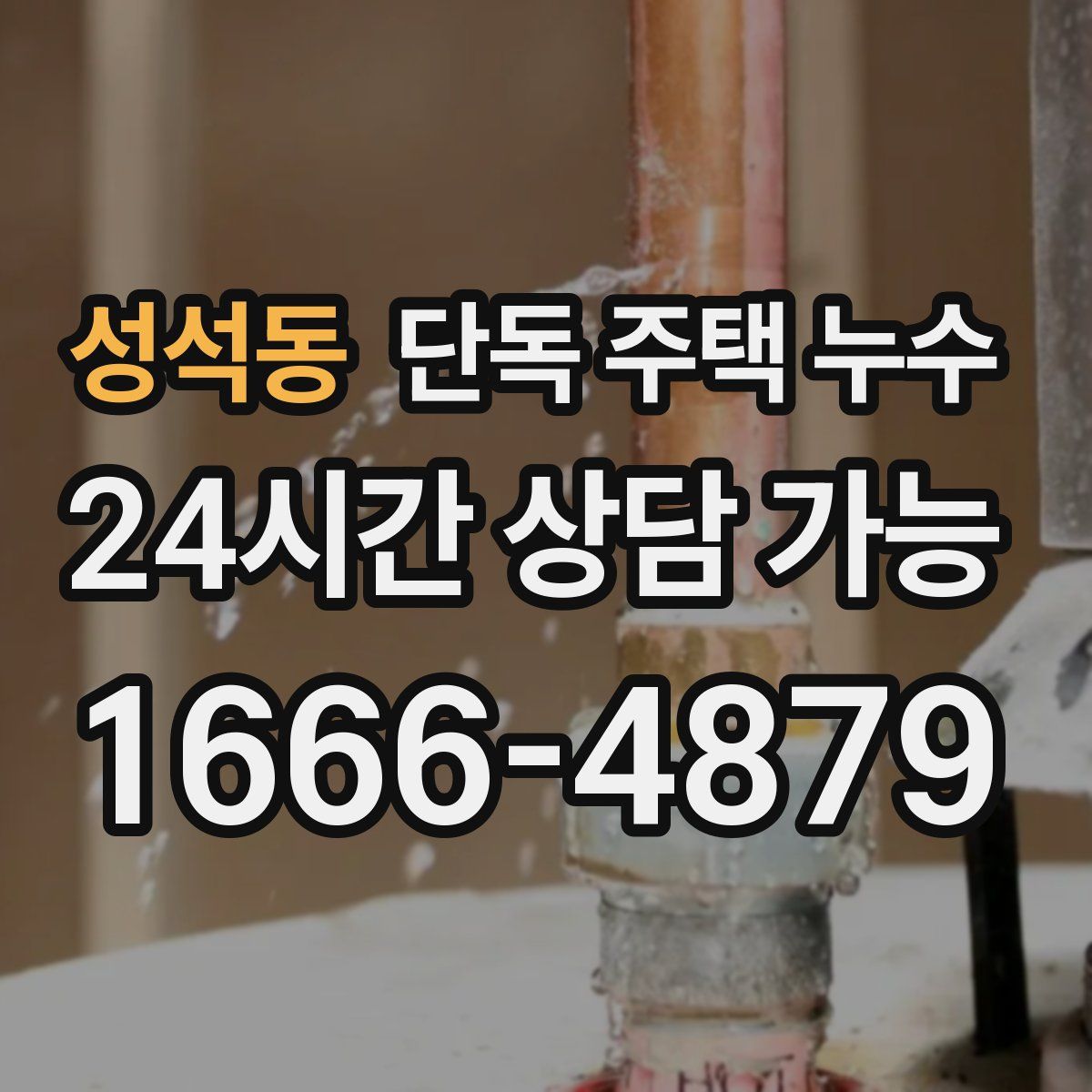 성석동 단독 주택 누수