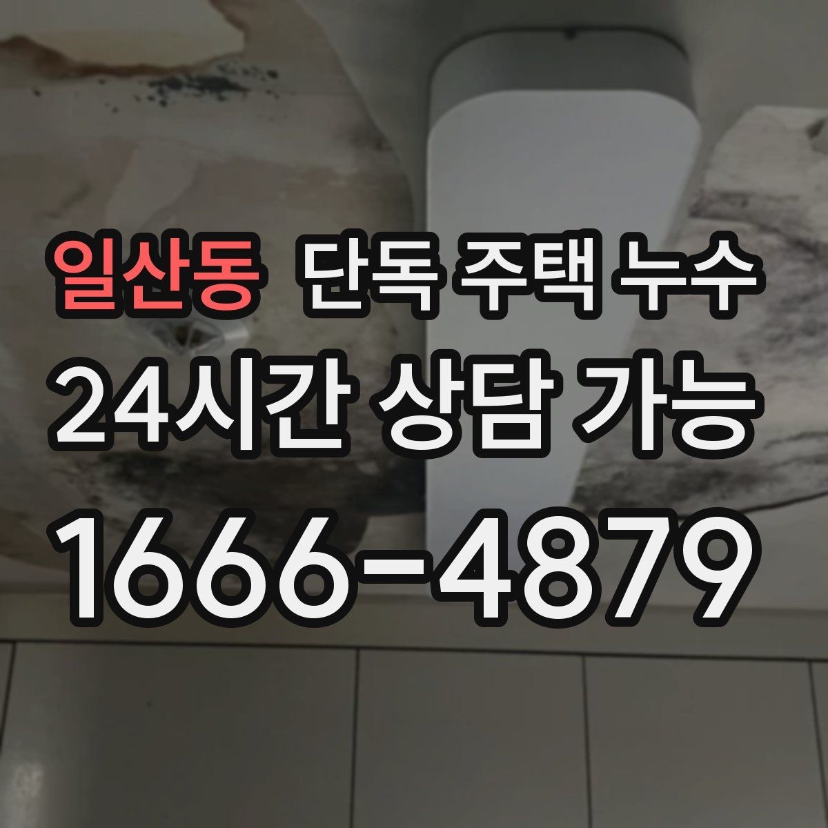 일산동 단독 주택 누수 평소에도 축축한 누수의 특징